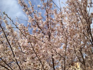 20120415165831