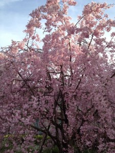20120415171726