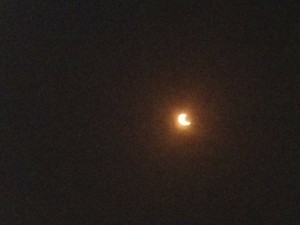 20120522_IMG_2629
