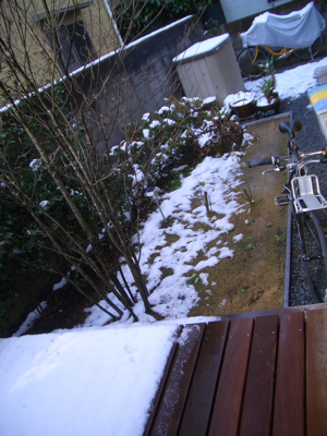 20080211_1.jpg