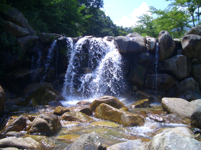20080813_makino.jpg