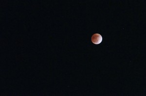 SONY DSC