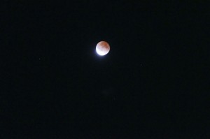 SONY DSC