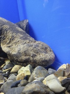20120321_IMG_2405