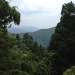 20120725_IMG_3102