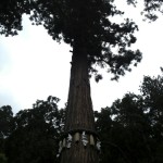 20120725_IMG_3108