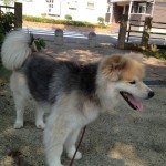 20120821_IMG_3276