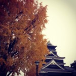 20121126_IMG_3807