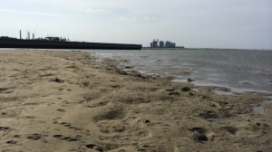 20140506_IMG_6273