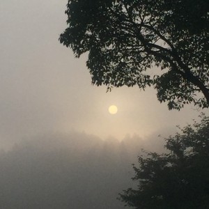 20150924_IMG_7717 のコピー