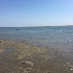 20160505_IMG_8537 のコピー
