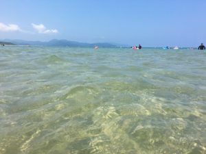 20160807_IMG_8983 のコピー