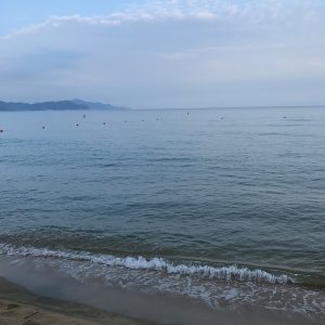 IMG_0213